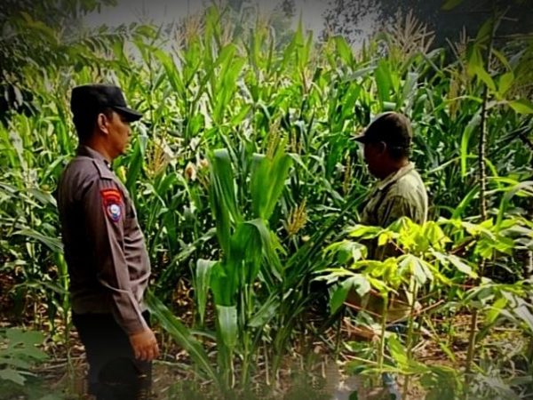 Pastikan Kinerja Bhabinkamtibmas Optimal, Polres Trenggalek Tingkatkan Kapasitas Personel