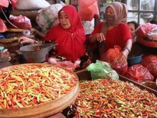 Pasca Iduladha Harga Cabai Rawit di Pati Turun Drastis