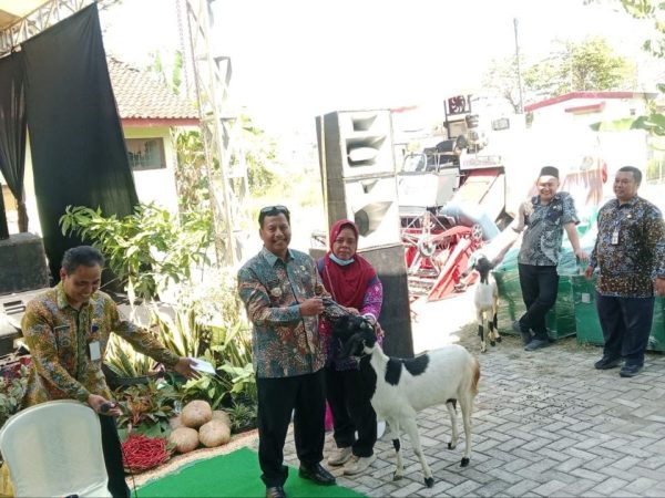 Sukses Cetak 30 Ribu Pedet Unggul per Tahun, Rembang Bidik Pembangunan RPH Modern di 2027