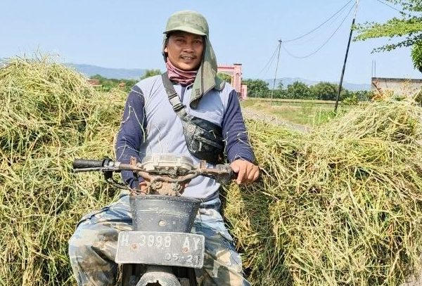 Inovasi Pertanian Ala Pria Asal Kayen Ini Mampu Tekan Biaya Produksi dengan Keuntungan Besar