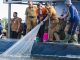 Tambak Udang Milik Pemprov Jateng Sukses Panen di Tengah Kawasan Industri