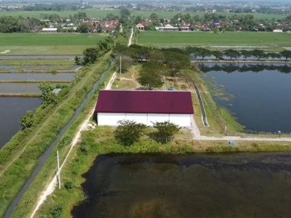 Bangunan KDMP Langgenharjo Margoyoso Dikelilingi Tambak Tuai Pro Kontra