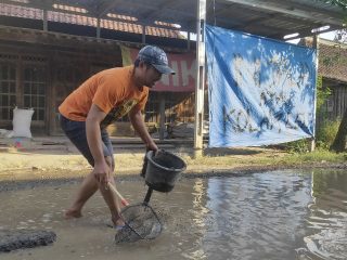 Aksi Tangkap Lele Jadi Bentuk Protes Warga Terhadap Kondisi Jalan Rusak di Pati
