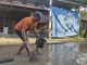 Aksi Tangkap Lele Jadi Bentuk Protes Warga Terhadap Kondisi Jalan Rusak di Pati