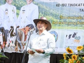 Teknologi Inseminasi Buatan Dongkrak Produksi Susu Sapi Perah di Jateng