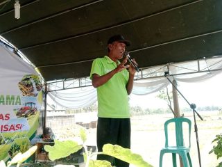 Begini Harapan Sumardi, Sang Inovator Metode Tanam PM AAS di Kaliori Rembang
