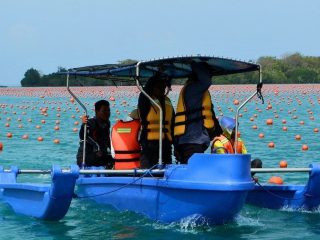 Jepara Kembangkan 50 Hektare Kawasan Budi Daya Rumput Laut di Karimunjawa